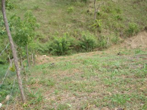 Honduras property for sale